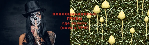 не бодяженный Баксан
